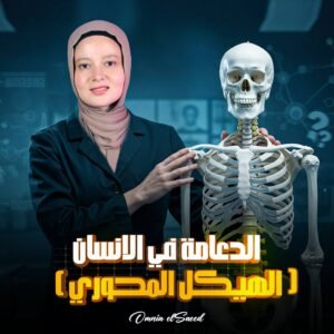 المحاضرة الثانية الدعامة في الانسان ( الهيكل المحوري )